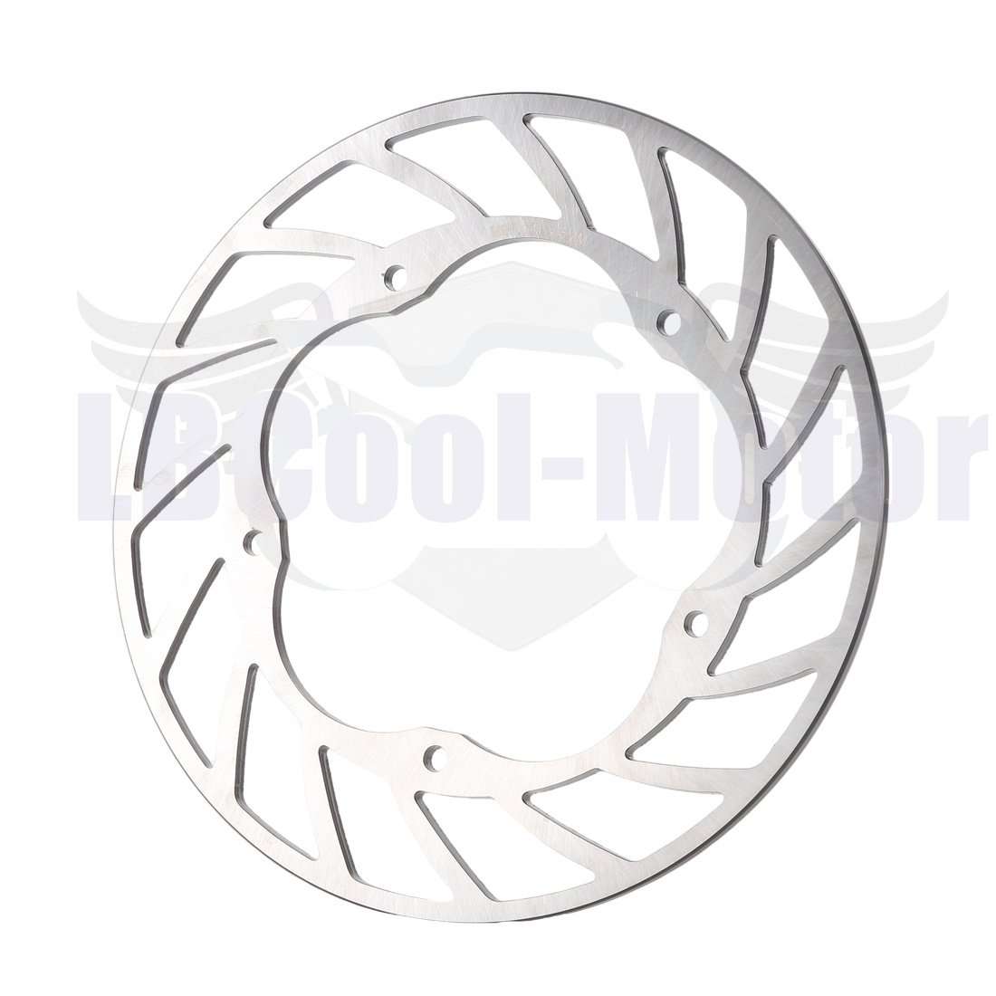 BMW S1000RR 1000 2009-2018 S10 - Brake Rotor 리뷰 및 가격